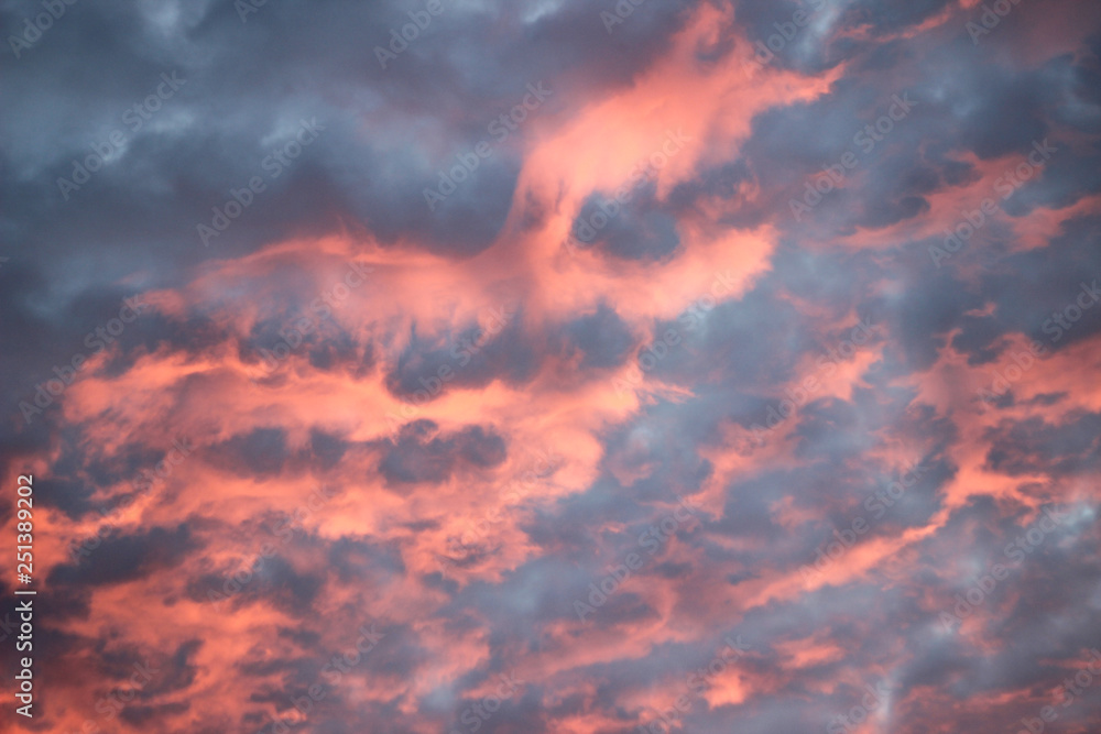 Pink cottton candy clouds at sunset. Pink cottton candy clouds at sunset.
