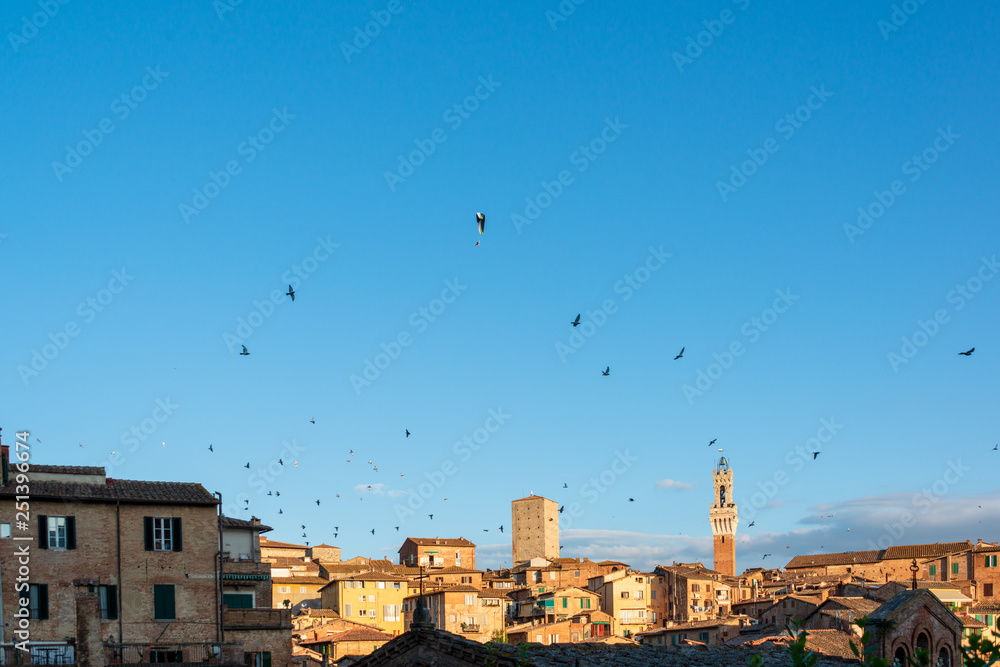 Ein Vogelschwarm über der abendlichen Altstadt von Siena, begleitet von einem Motorgleitschirm