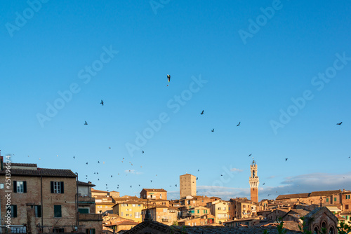 Ein Vogelschwarm über der abendlichen Altstadt von Siena, begleitet von einem Motorgleitschirm