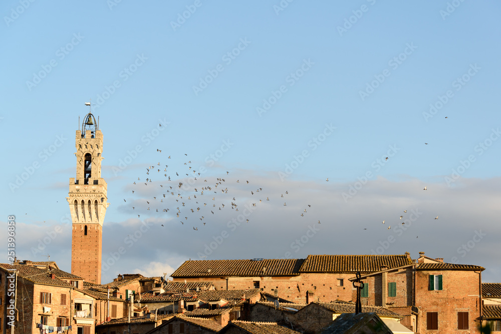 Ein Vogelscharm am abendlichem Himmel über der Altstadt von Siena