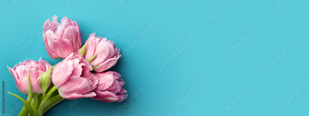 Pink tulips on turquoise background with copy space. Top view, banner for website.