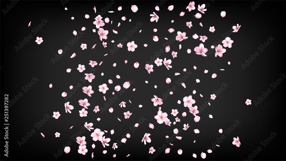 Nice Sakura Blossom Isolated Vector. Realistic Blowing 3d Petals Wedding Paper. Japanese Gradient Flowers Wallpaper. Valentine, Mother's Day Beautiful Nice Sakura Blossom Isolated on Black