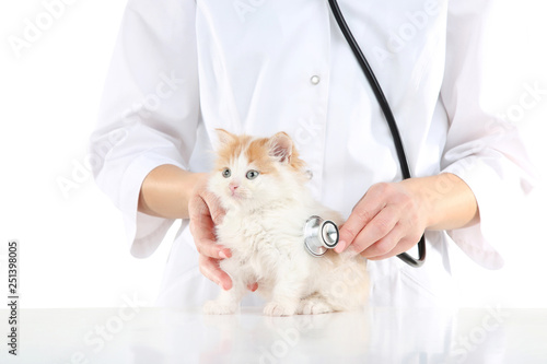 Veterinarian with kitten and stethoscope