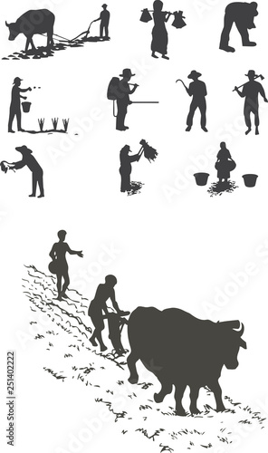 Toros y Arados