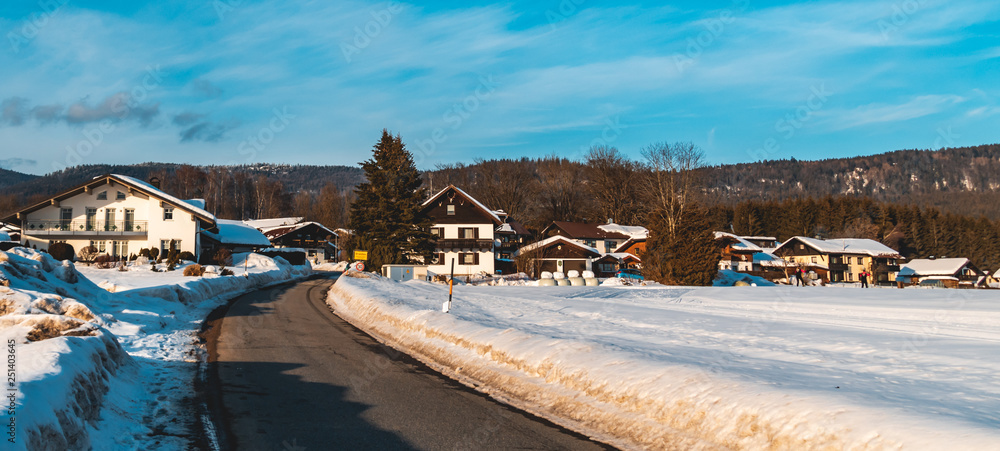 Beautiful winter view near Brandten-Bavarian Forest-Bavaria-Germany