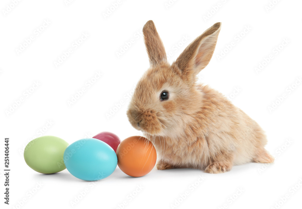 Adorable furry Easter bunny and colorful eggs on white background