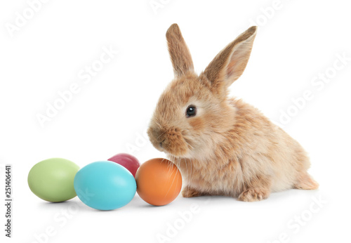 Adorable furry Easter bunny and colorful eggs on white background © New Africa