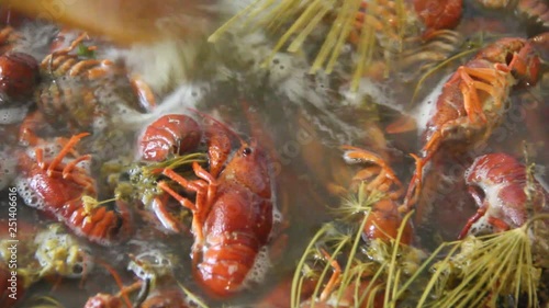 Crayfish boil in a pot. Cooking crayfish with dill and salt.