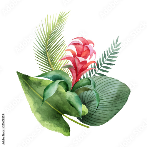 Watercolor vector bouquet tropical leaves and flowers isolated on white background.