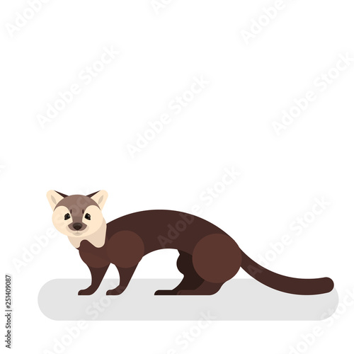 Marten animal. Wild mammal. A forest predator