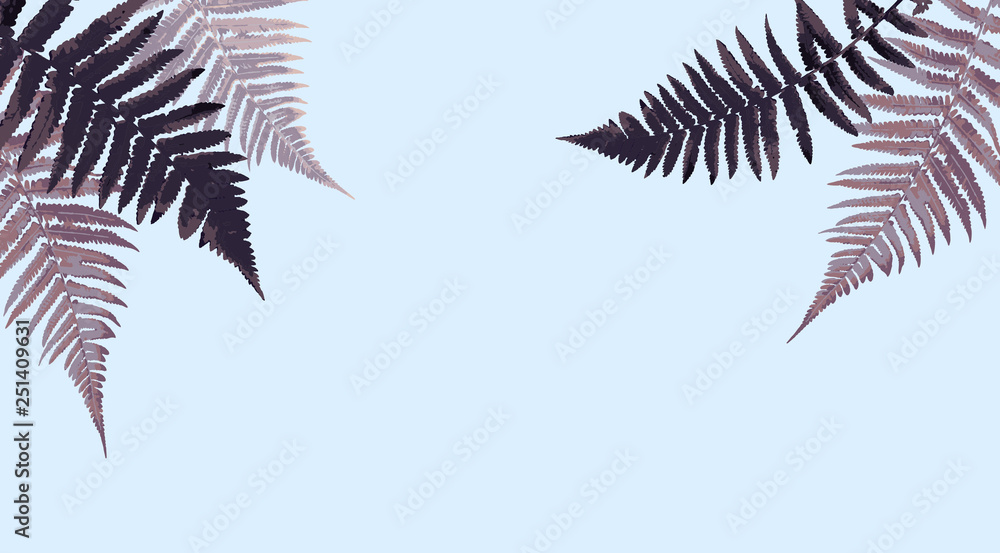 Fern Leaf Vector Background Illustration