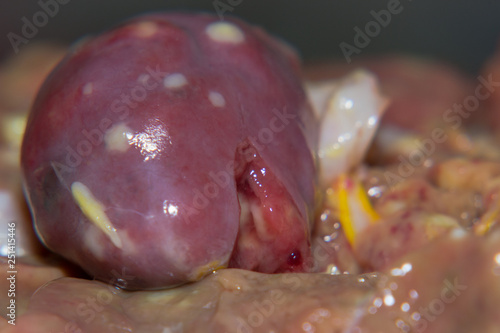 Heart of a chicken with small nodules on the surface, infectious disease photo