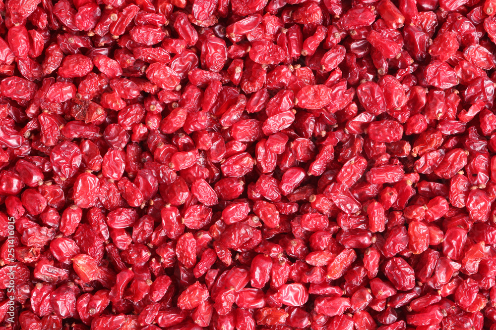 Dry Berberis. Close Up Red Berry Texture Dry Berberis. Close Up Red Berry Texture