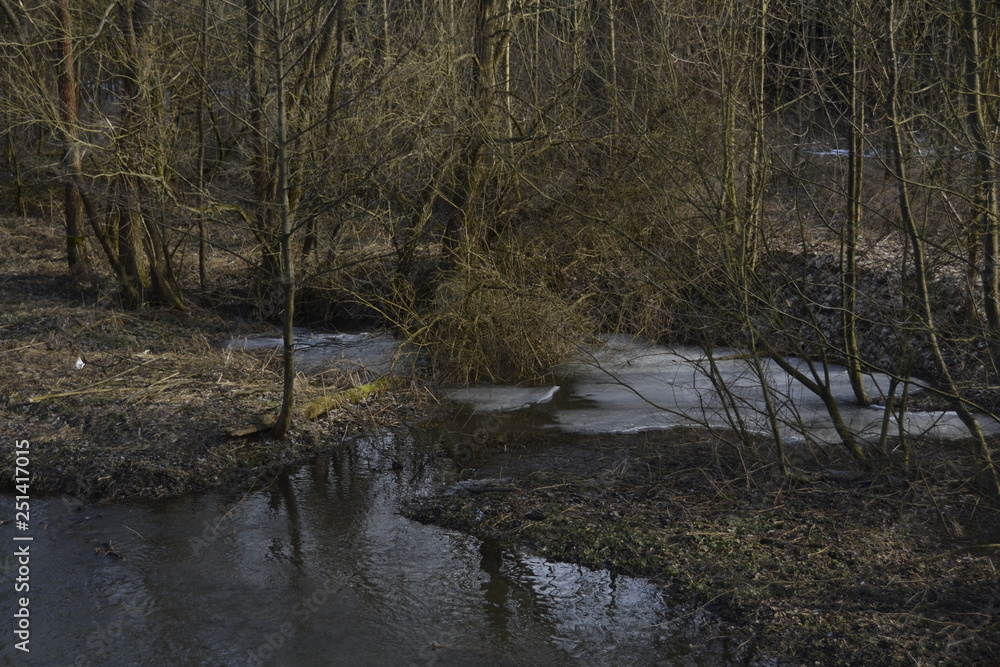 river in the forest river in the forest