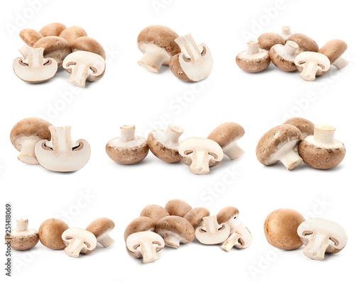Set of fresh delicious champignon mashrooms on white background