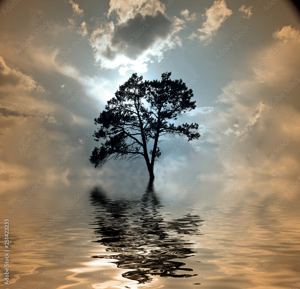 Obraz premium Tree