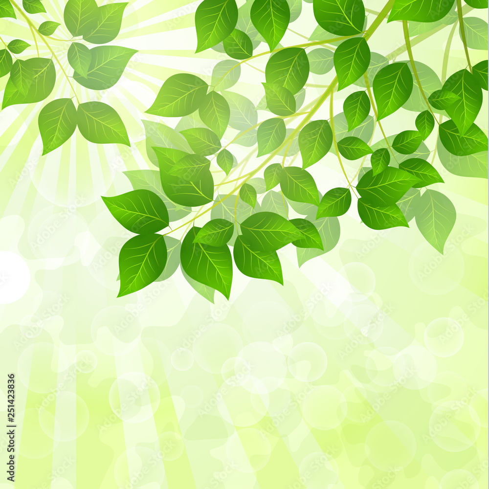 Forest background with sunlight coming through the green leaves. Green background with fresh spring foliage, sparkles and sunbeams. Young leaves in the rays of spring dawn. Close-up. - Vector graphics Forest background with sunlight coming through the green leaves. Green background with fresh spring foliage, sparkles and sunbeams. Young leaves in the rays of spring dawn. Close-up. - Vector graphics