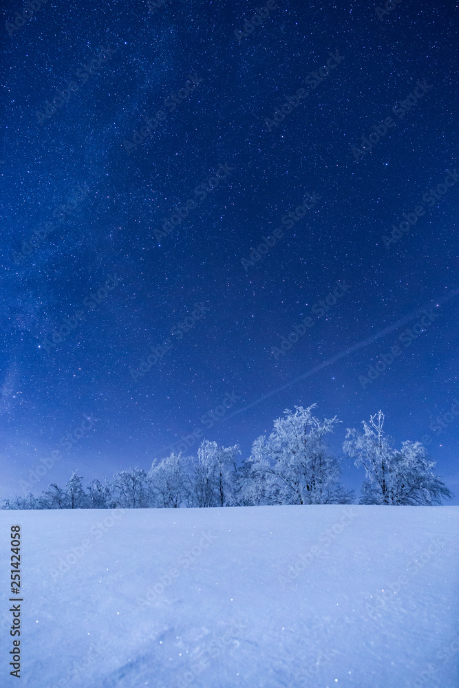 Naklejka premium There is nothing more beautiful while trekking in the mountains than to admire the night sky above a frozen forest