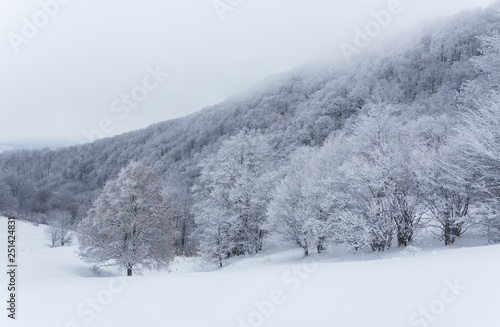 Frozen landscapes on a cold day of winter in Trascaului Mountains, Romania © Andrei