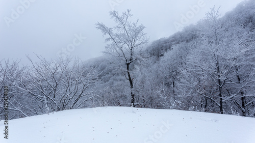 Frozen landscapes on a cold day of winter in Trascaului Mountains, Romania photo