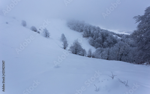 Frozen landscapes on a cold day of winter in Trascaului Mountains, Romania © Andrei
