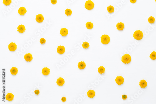 Flowers composition. Pattern made of yellow flowers on white background. Flat lay, top view.