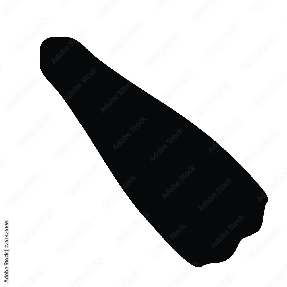 A black and white vector silhouette of a flipper