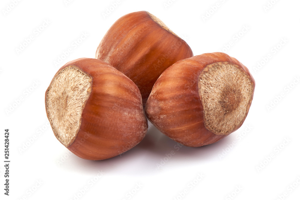 Hazelnuts, close-up isolated on white background Hazelnuts, close-up isolated on white background