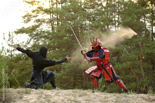 Cuadro en lienzo Samurai fight with ninjas on a background of forest and sand