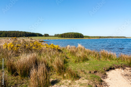 Crowdy Reservoir on Bodmin Moor Cornwall England