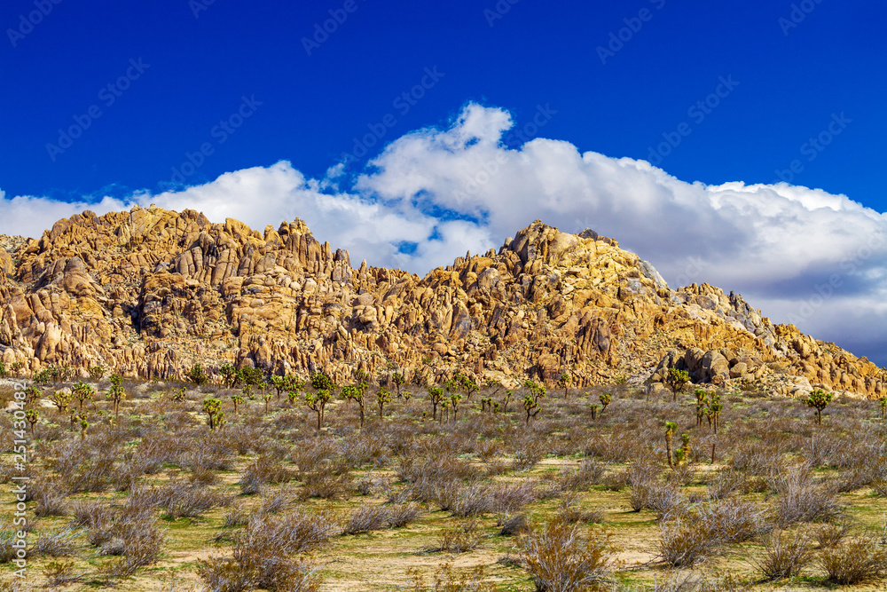 Boulder hill in the Mojave Desert with a small grove of Joshua Trees, photographed near Palmdale, California.