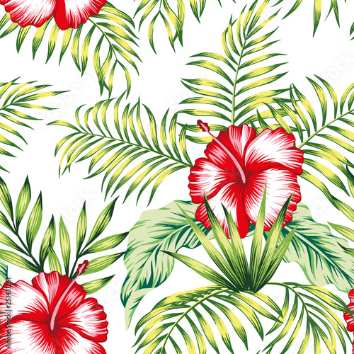 Tropical botanical composition hibiscus palm leaves white background