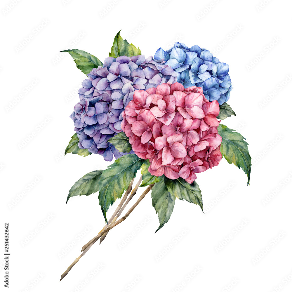 Watercolor hydrangea bouquet. Hand painted pink and violet flowers with ...