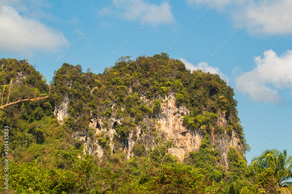 beautiful mountain formation with trees up with a blue sky beautiful mountain formation with trees up with a blue sky