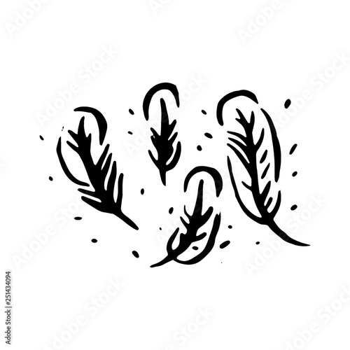 Vector hand drawn Witch and magic feather item illustration on white background.