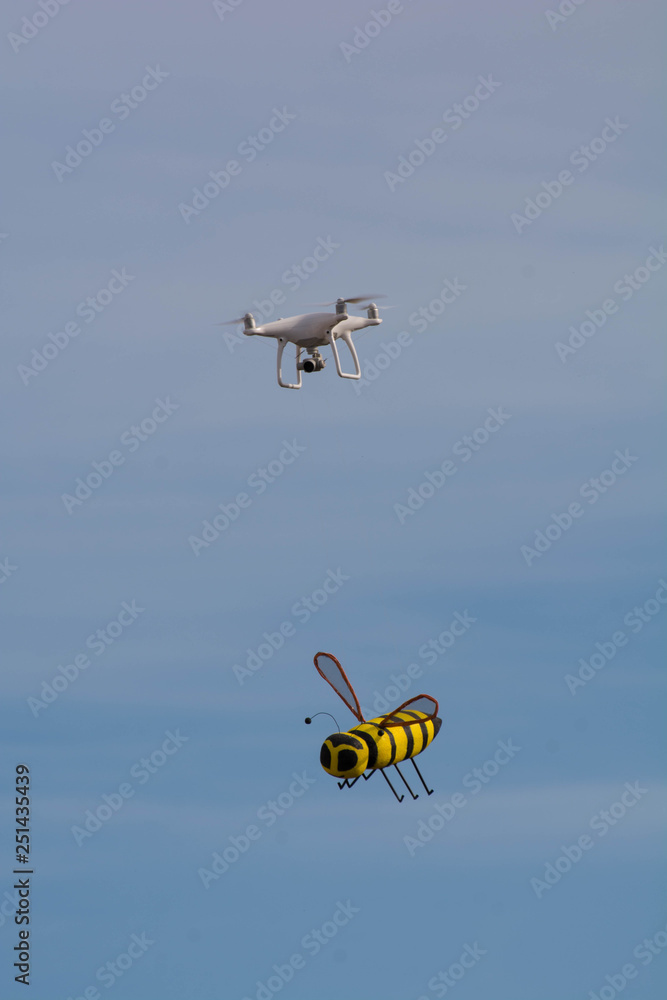Drone carries costume's bee at Comacchio's Carnival Drone carries costume's bee at Comacchio's Carnival