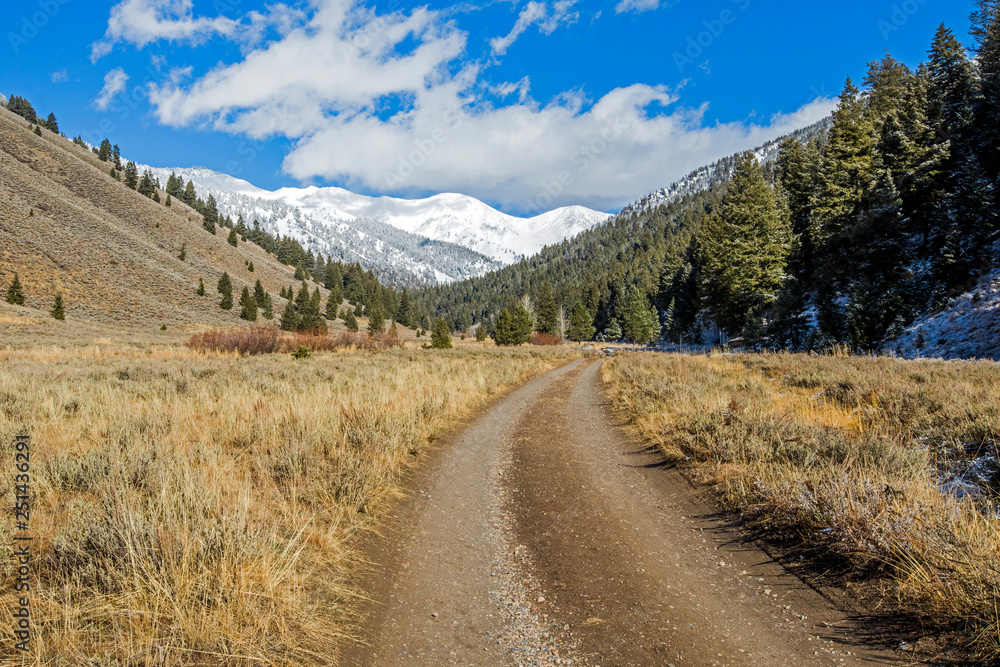 Dirt road with mountains and forest in Sun Valley, Idaho Dirt road with mountains and forest in Sun Valley, Idaho