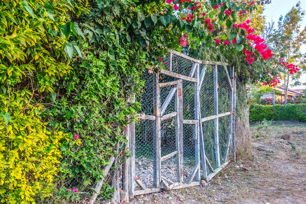 mesh gate in kenya