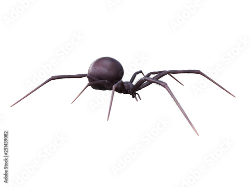 3d rendered illustration of a female black widow
