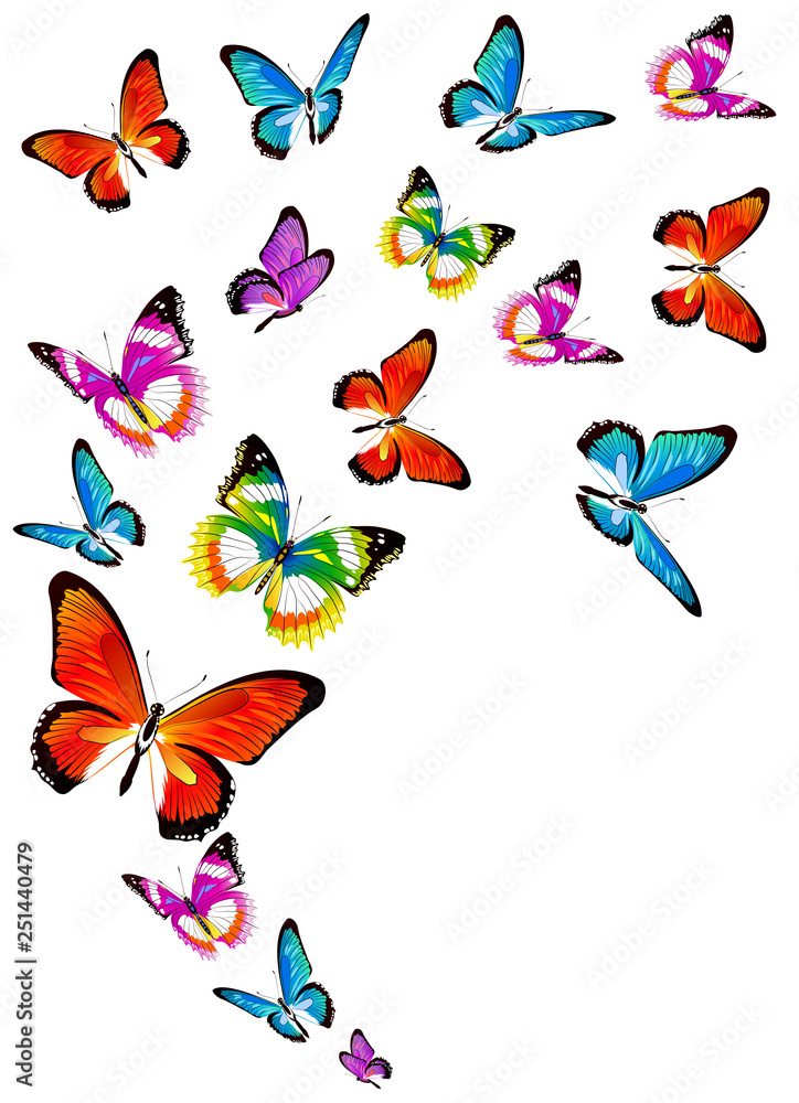 Fototapeta premium beautiful pink butterflies, isolated on a white