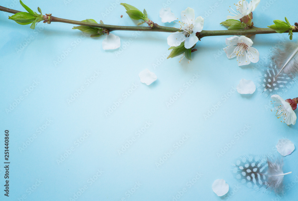 Spring time background.Cherry Blossom trees