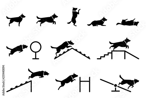 Set of icons representing various dog’s body postures. Collection of vector illustration icons of dogs standing still and moving. Dog training. Training dogs on polygon.