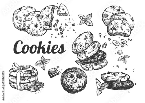 Collection of american cookies with chocolate crumb