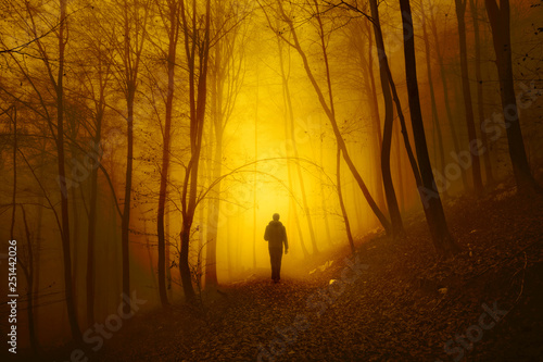Mystical light in foggy forest with a walking man. Yellow red color tone used.