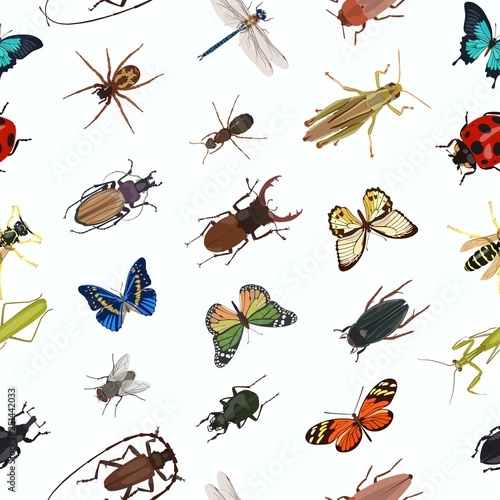 Seamless pattern with different creeping and flying insects. Vector