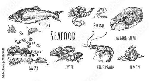 Collection of hand drawn natural food