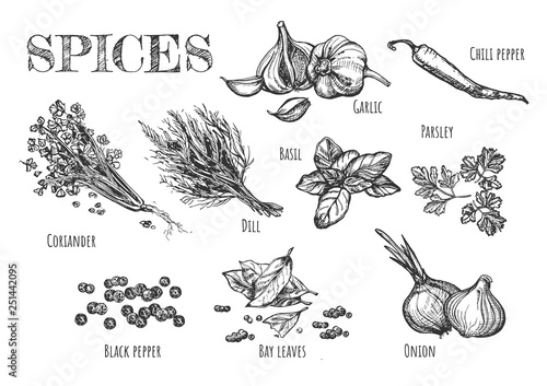 Collection of fragrant spices and herbs for dishes