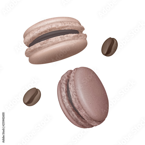 Set of Macaroons with Chocolate filling in different angles, French macaroons on white background, Vector illustration