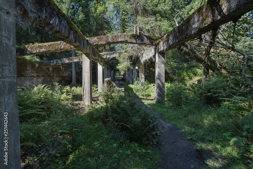 Ruins of a tin factory near the village of Rolava (German Sauersack) in the Ore Mountains. During the Second World War there was a prison camp.