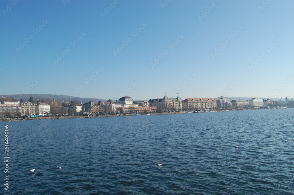 Blick auf den Zürichsee mit den Residenzen und Wasservögel